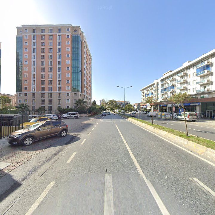 Fotoğraf 12