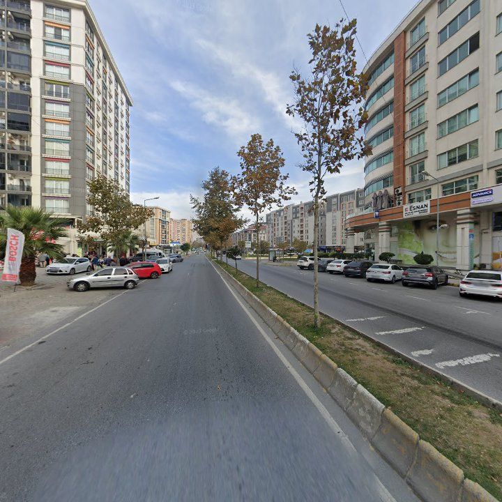 Fotoğraf 12