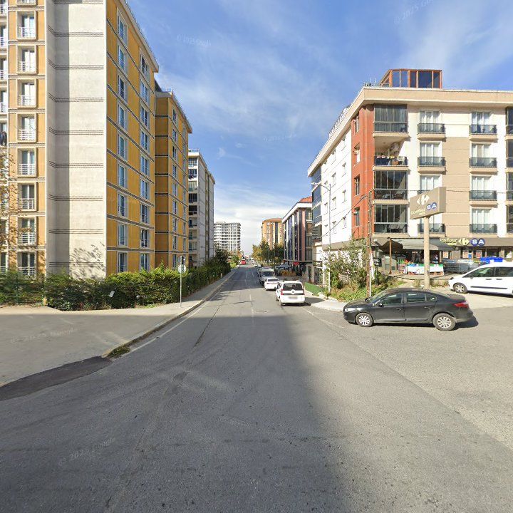 Fotoğraf 8