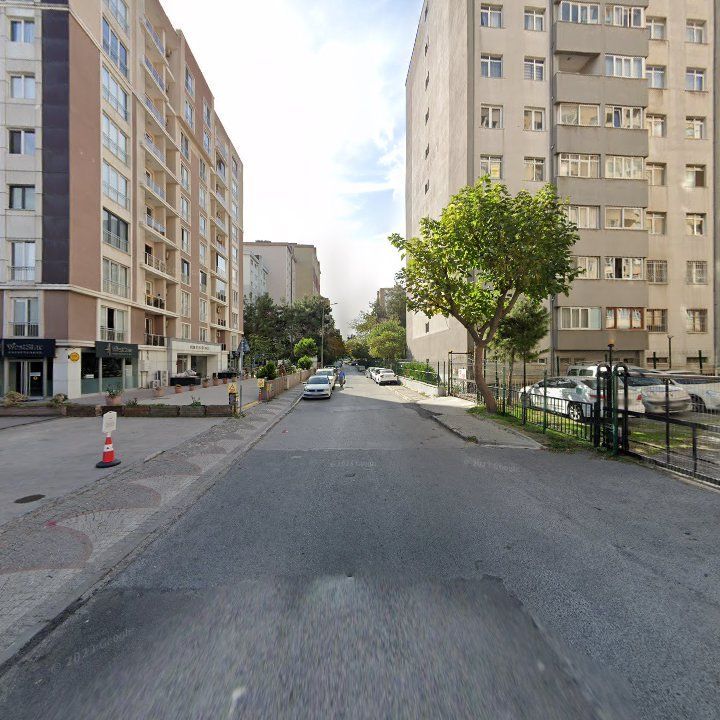 Fotoğraf 12