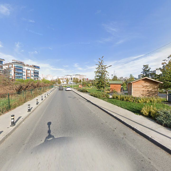 Fotoğraf 10