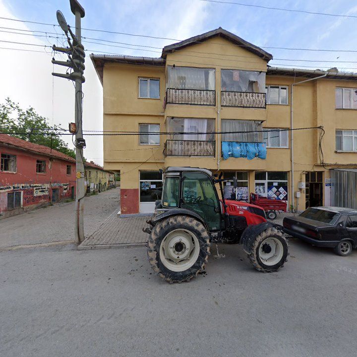 Fotoğraf 8