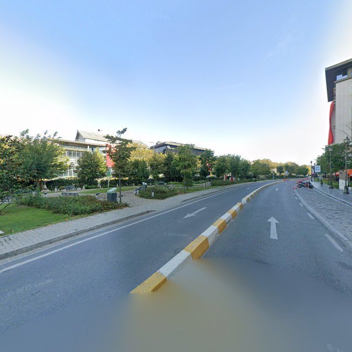 Fotoğraf 11
