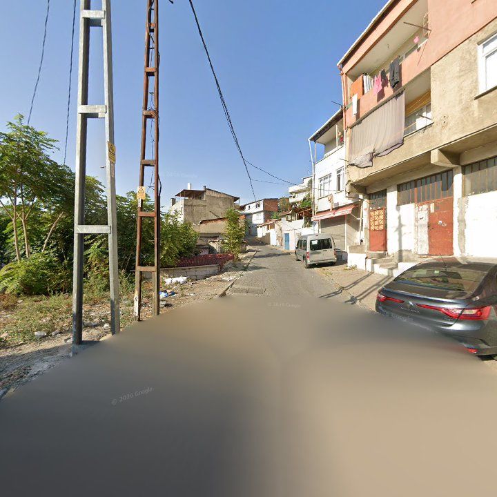 Fotoğraf 8