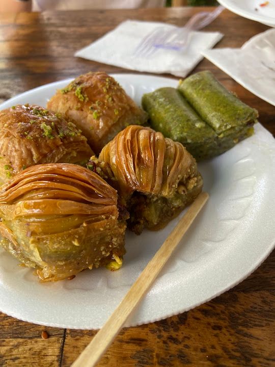 Fotoğraf 8
