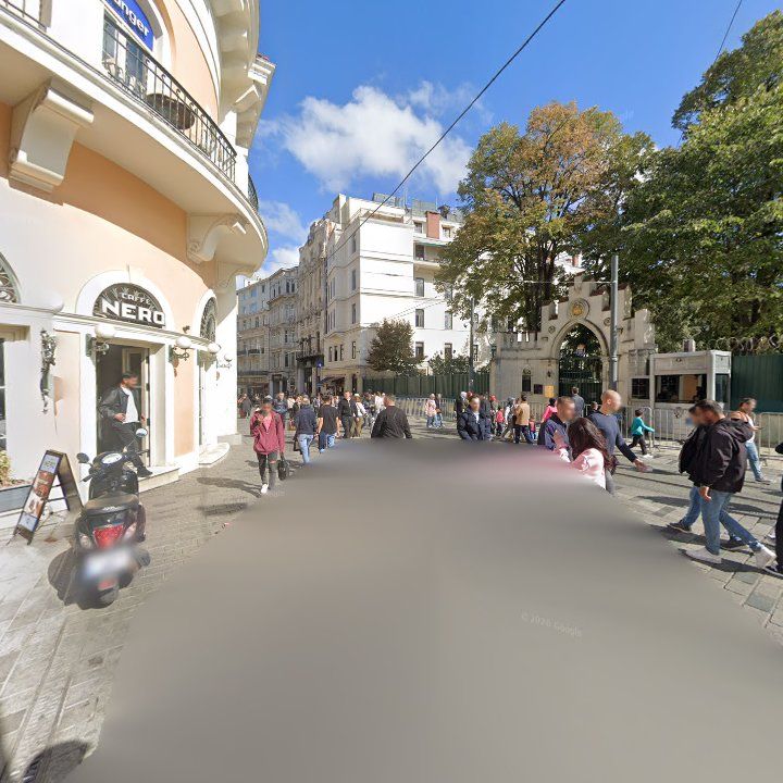 Fotoğraf 11
