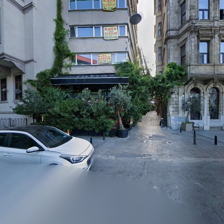 Fotoğraf 15