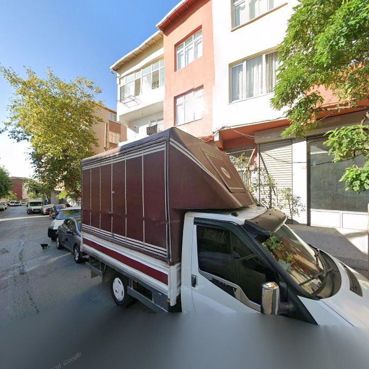 Fotoğraf 9