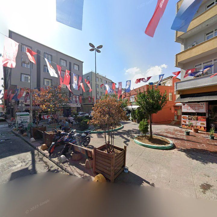 Fotoğraf 7