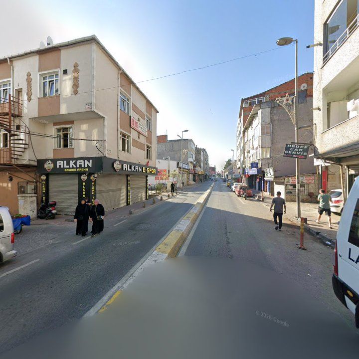 Fotoğraf 7