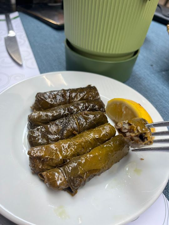 Fotoğraf 12