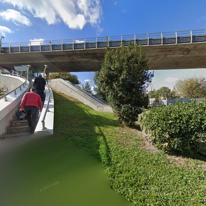 Fotoğraf 12