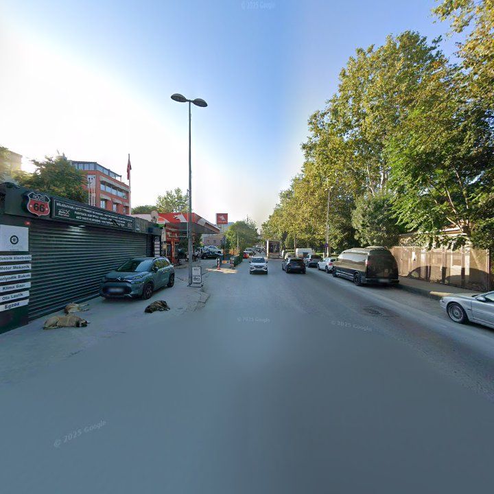 Fotoğraf 8