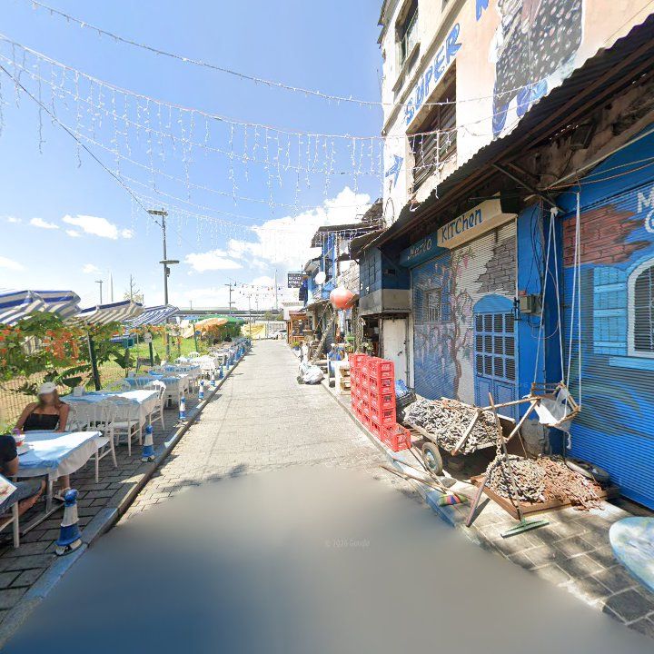 Fotoğraf 15