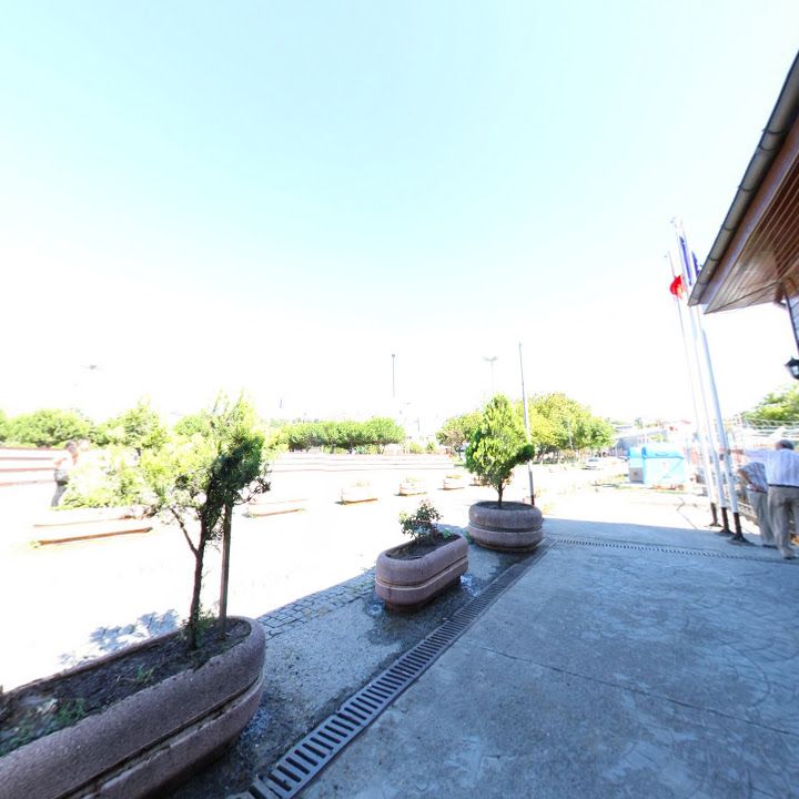 Fotoğraf 11