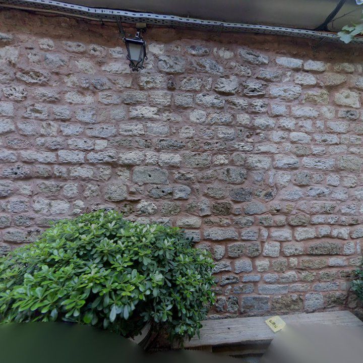 Fotoğraf 13