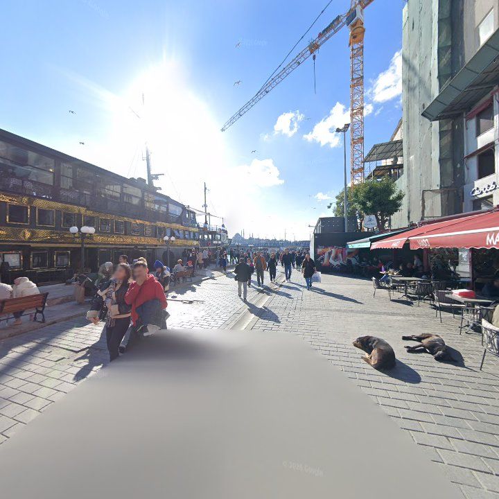 Fotoğraf 13