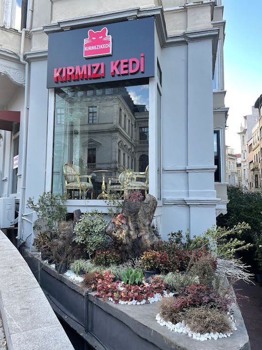 Kırmızı Kedi Pera