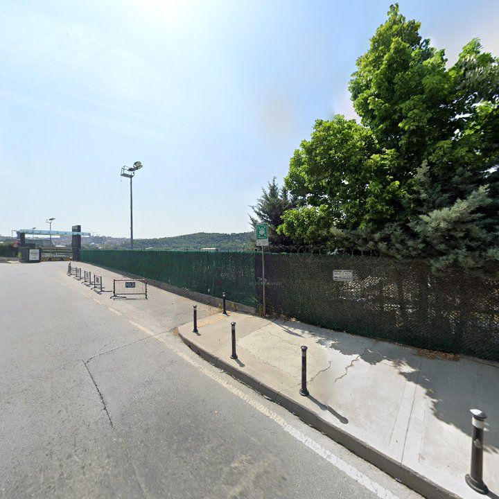 Fotoğraf 10