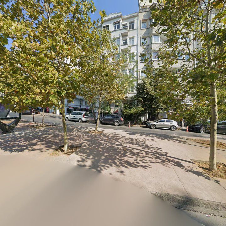 Fotoğraf 12