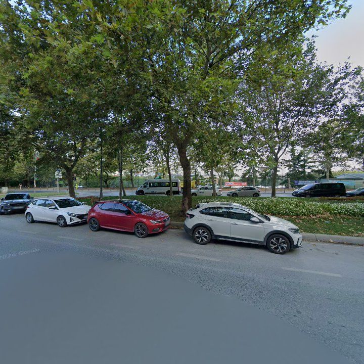 Fotoğraf 11