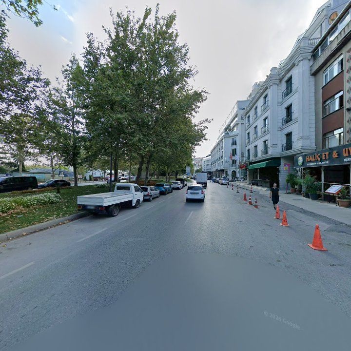 Fotoğraf 12