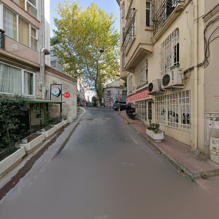 Fotoğraf 10