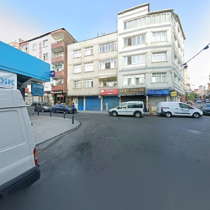 Nefis Güneş Döner