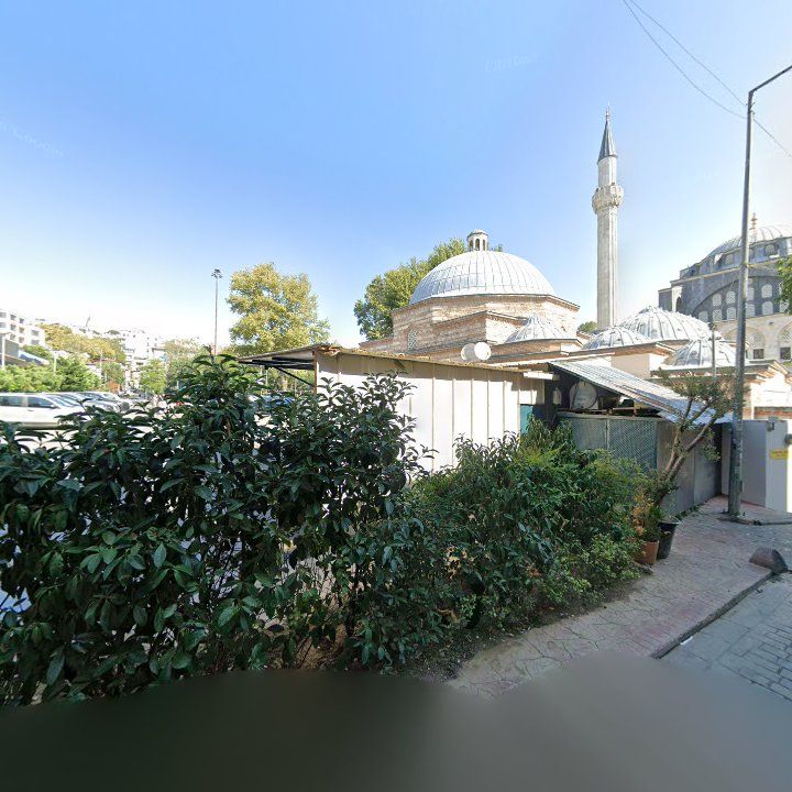 Fotoğraf 11