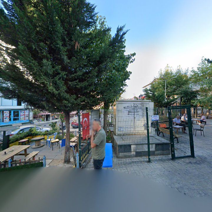 Fotoğraf 8