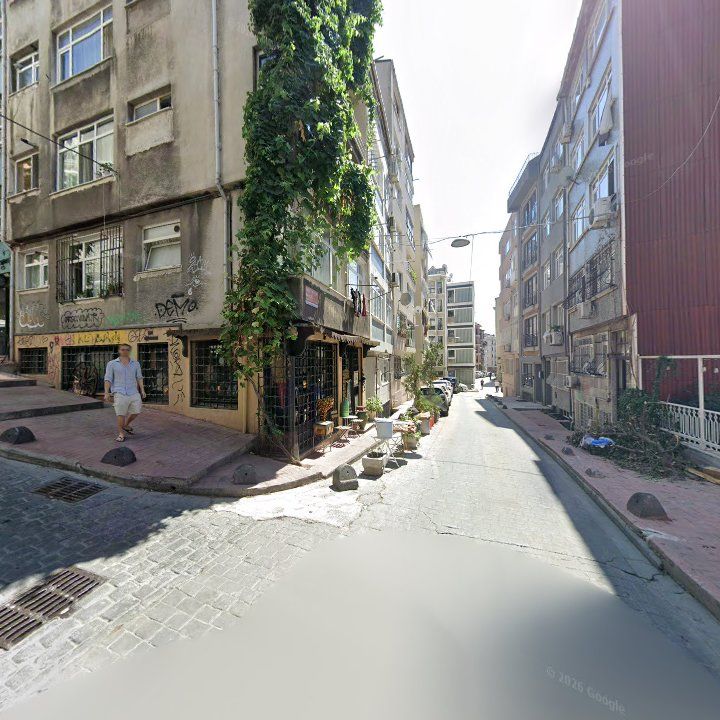 Fotoğraf 12