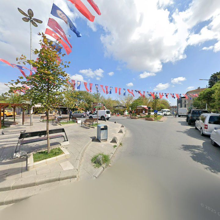 Fotoğraf 11
