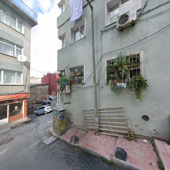 Fotoğraf 8