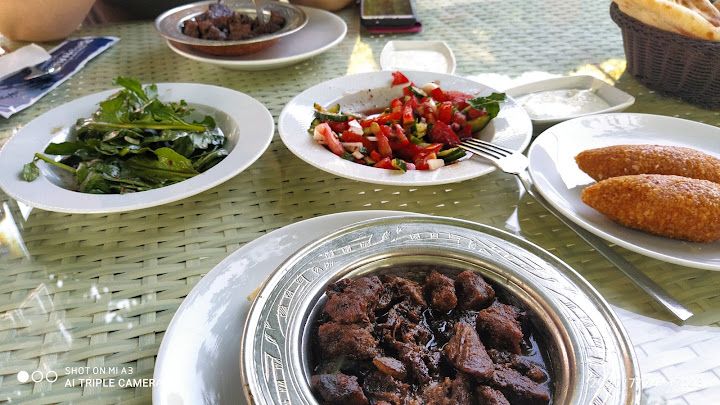 Fotoğraf 31
