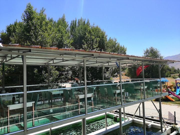 Fotoğraf 41