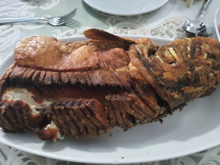 Balık Profesörü