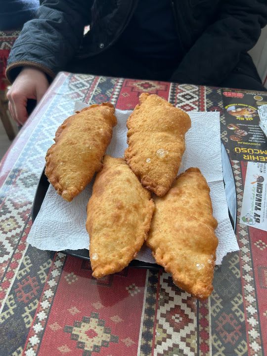 Bizim pişici