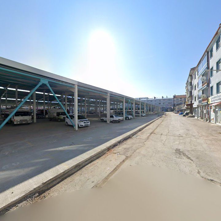 Fotoğraf 5