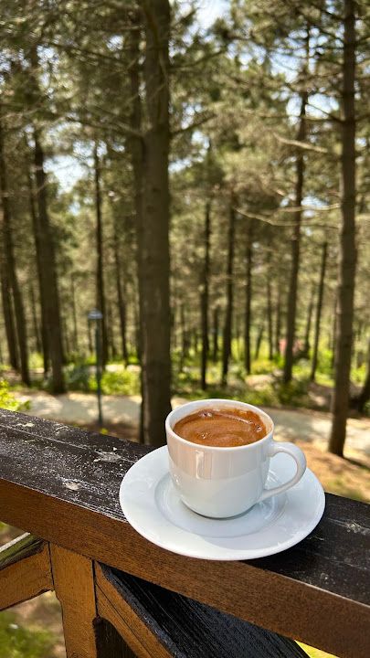 Fotoğraf 44