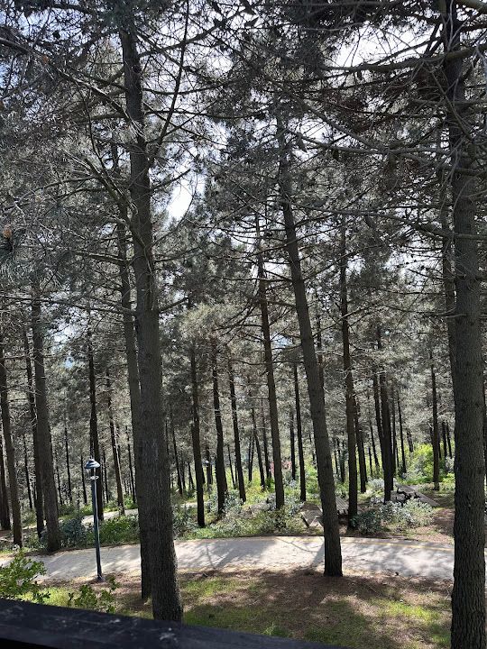 Yorum fotoğrafı 4
