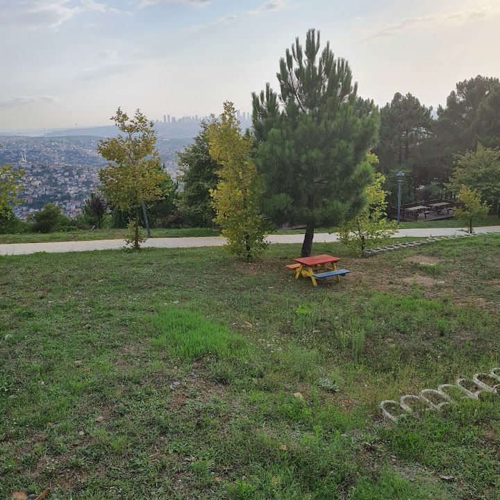 Fotoğraf 67