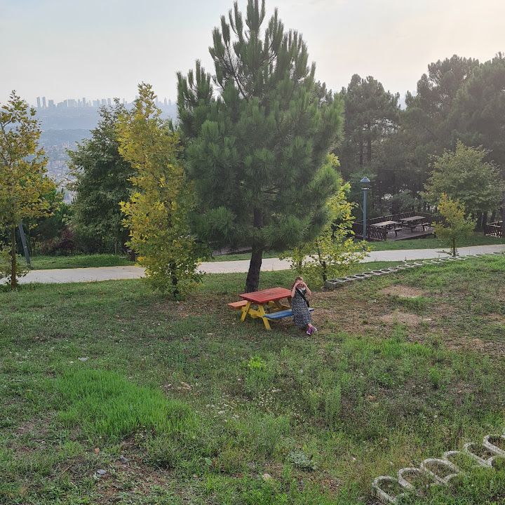 Fotoğraf 68