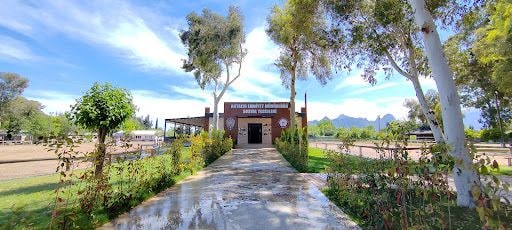 Fotoğraf 16