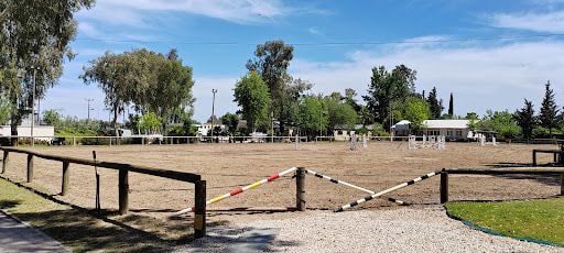 Fotoğraf 24