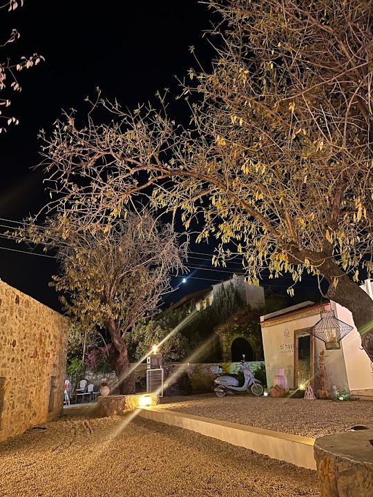 Fotoğraf 45