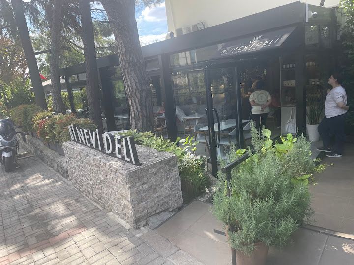 Fotoğraf 13