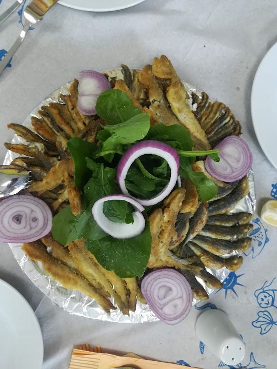 Fotoğraf 16