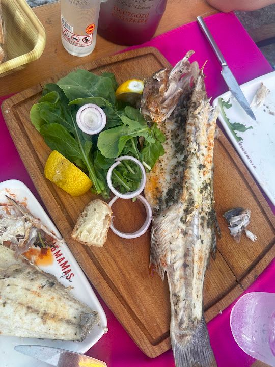 Fotoğraf 33