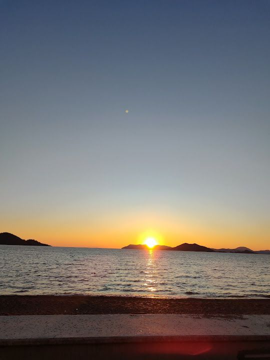 Fotoğraf 55