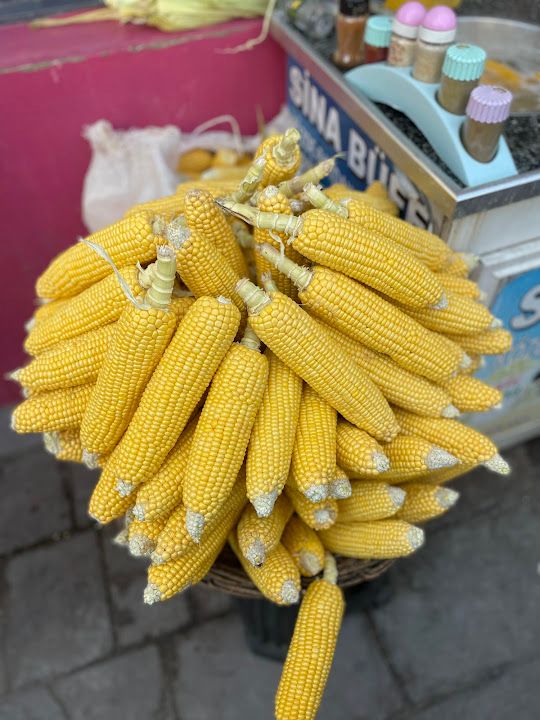 Fotoğraf 11